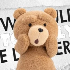 Ted2 Ted Action Plush Doll -Strangecat Toys Store 20240701 105104 351515 6 1200x1200
